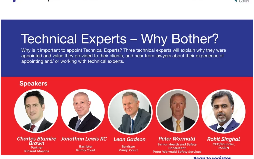 “Technical experts – Why bother?”